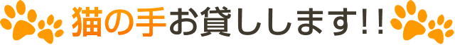 猫の手お貸しします！！